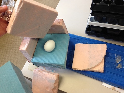 Egg Drop Competition – Science Engineering Technology And Mathematics (STEM) Project
